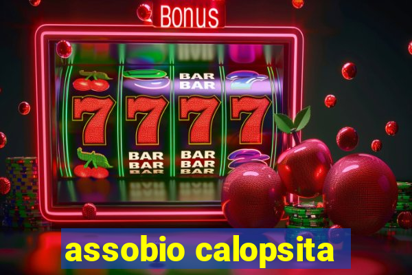 assobio calopsita